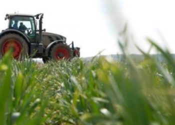 На деяку агропродукцію можуть відновити ставку ПДВ 20%