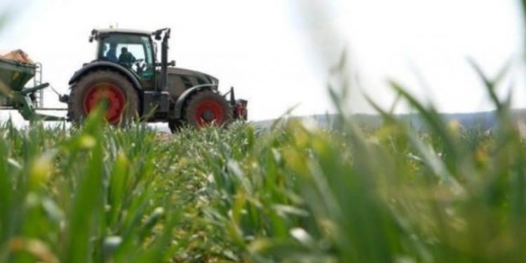 На деяку агропродукцію можуть відновити ставку ПДВ 20%