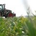 На деяку агропродукцію можуть відновити ставку ПДВ 20%