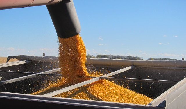 Експорт з України зернових, зернобобових та борошна