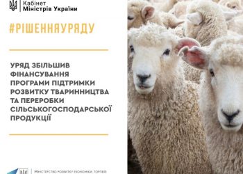 Уряд збільшив фінансування програми підтримки розвитку тваринництва та переробки сільгосппродукції