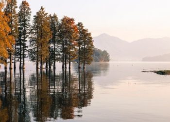 Уряд спростив оформлення оренди водних об’єктів