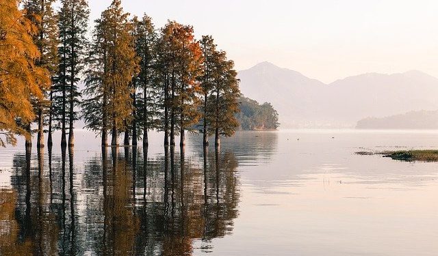 Уряд спростив оформлення оренди водних об’єктів