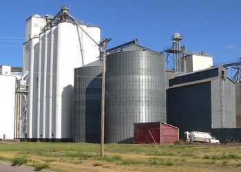 Елеватор визнав претензію замовника: як показати в обліку