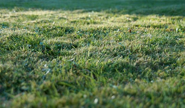 Продаж сільгоспземель: як повинні перевіряти покупця