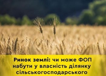 Чи може приватний підприємець купити сільгоспземлю