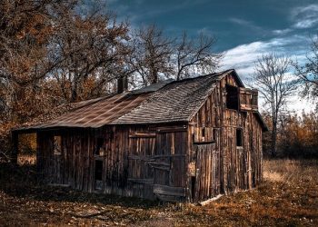 Сільгоспнерухомість, що використовується в особистому господарстві: чи є право на пільгу
