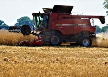 Комбайнери на сезон: оформлення відносин та оплата