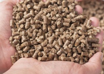 Реалізація комбікорму єдинником 4 групи: чи буде “сільськогосподарський” дохід