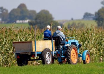 Член ФГ зареєструвався підприємцем: що зі сплатою єдиного внеску