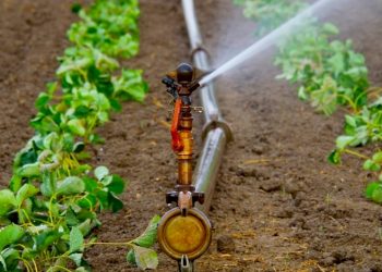 Уряд підтримає фермерів, які використовують технології зрошення земель