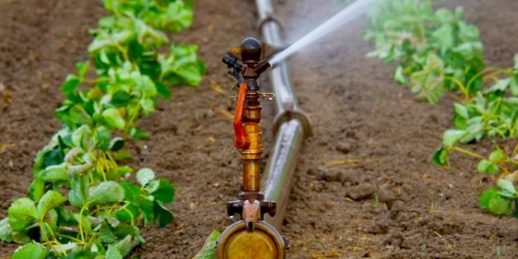 Уряд підтримає фермерів, які використовують технології зрошення земель