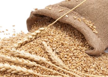 Як позика зерна впливає на частку сільгоспвиробництва