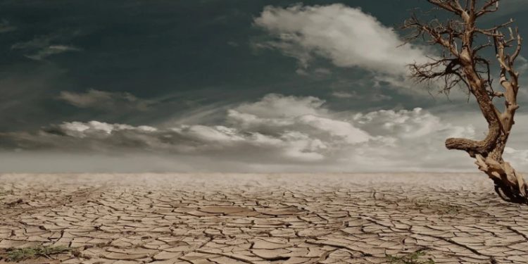 Постанова КМУ від 15.12.2021 р. № 1325 “Про затвердження нормативів гранично допустимих концентрацій небезпечних речовин у ґрунтах, а також переліку таких речовин”