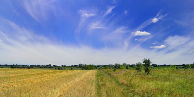 ? З’явилися коефіцієнти індексації нормативної грошової оцінки землі за 2021 рік
