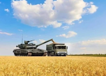 В Україні розпочалось збирання ріпаку