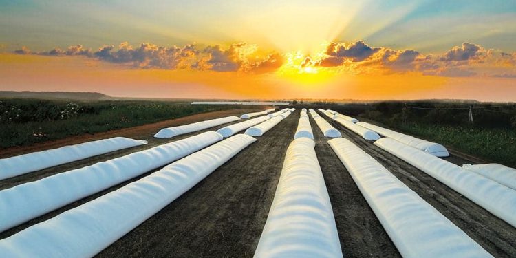 У системі ДАР до 9 жовтня можна подати заявку на отримання рукавів для зберігання зерна