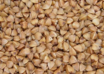 Заборона на експорт гречки до кінця року точно діятиме, – Мінагрополітики