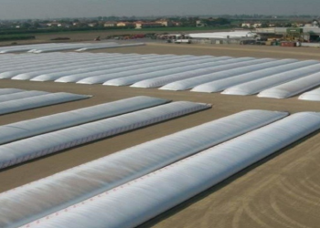 Аграріям продовжено термін подачі заявок на отримання рукавів для зберігання зерна