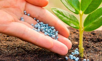 Верховна Рада удосконалила державне регулювання у сфері поводження з пестицидами і агрохімікатами