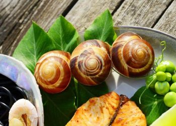 Україна відкриває новий ринок для експорту равликів, призначених для споживання людиною