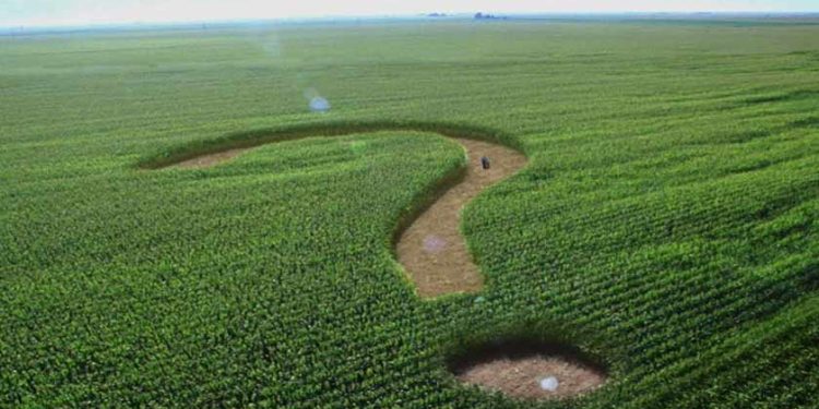 Фермер — єдинник 4 групи використовує землі членів фермерського господарства: хто нараховує МПЗ