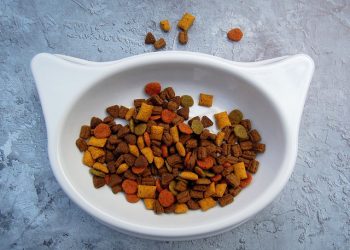 З’явилися вимоги до виробництва та обігу лікувальних кормів