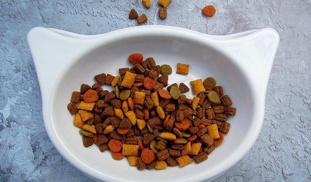 З’явилися вимоги до виробництва та обігу лікувальних кормів