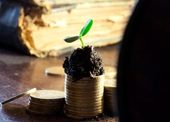 Чи може платник ЄП 4 групи враховувати у МПЗ податок на доходи із зарплати адмінперсоналу