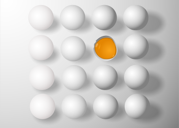 З’явилися вимоги до курячих яєць