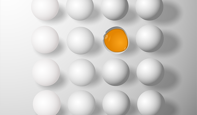 З’явилися вимоги до курячих яєць