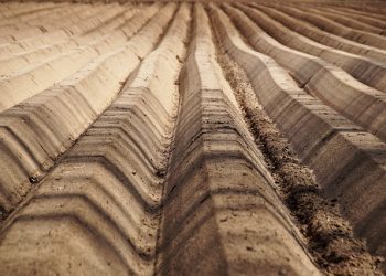 Коли аграрій-єдинник має сплатити МПЗ за 2022 р.