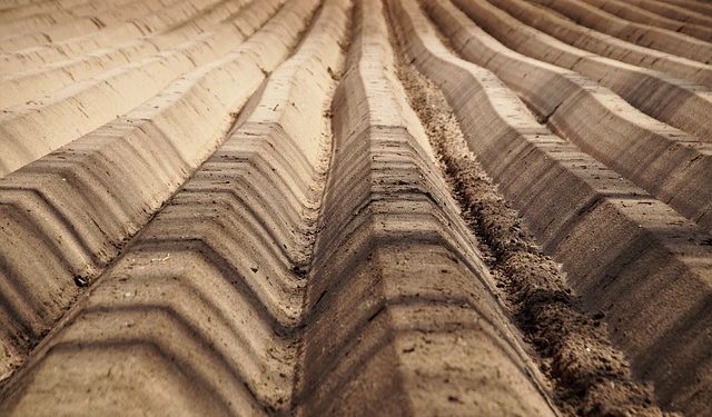 Коли аграрій-єдинник має сплатити МПЗ за 2022 р.