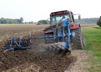 Аграрії можуть подати заявку через ДАР на програми підтримки від ФАО