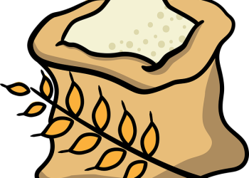 В Україні запрацюють нові правила виробництва лікувальних кормів