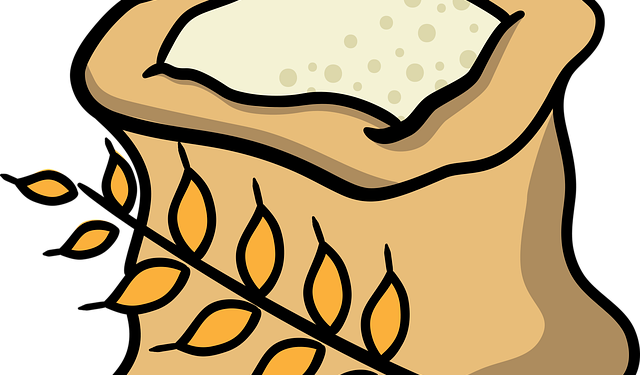 В Україні запрацюють нові правила виробництва лікувальних кормів