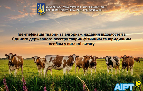 Ідентифікація тварин та алгоритм надання відомостей з Єдиного державного реєстру тварин фізичним та юридичним особам у вигляді витягу