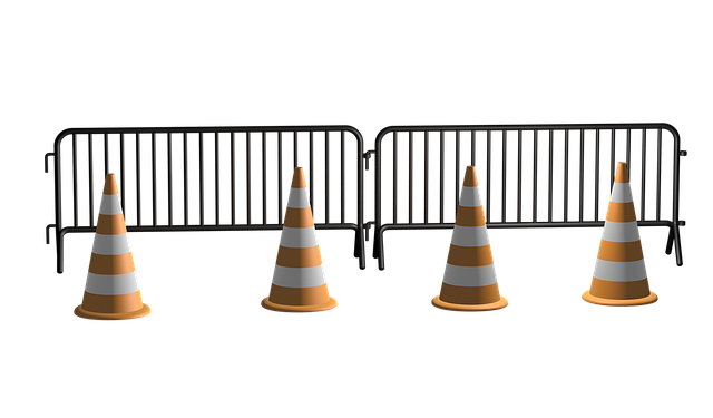 Польща повертає в Україну транспорт із сільгосппродукцією рослинництва