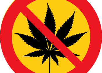 Які культури заборонені для ввезення до країн ЄС