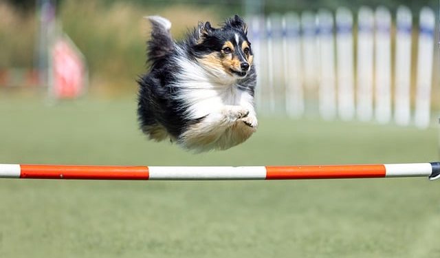 Україна та Польща домовились про відновлення транзиту агропродукції