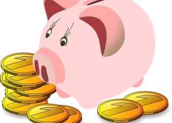 Триває збір заявок у ДАР для отримання насіння соняшнику та кукурудзи для фермерів із прифронтових областей