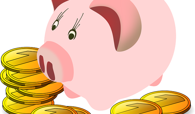 Триває збір заявок у ДАР для отримання насіння соняшнику та кукурудзи для фермерів із прифронтових областей