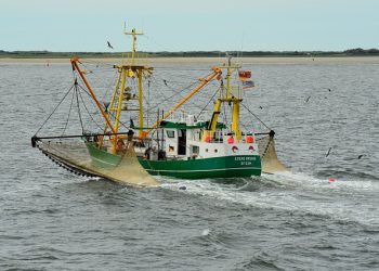 Затверджено нові правила промислового рибальства