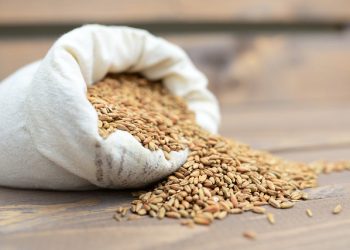 Єврокомісія оприлюднила своє рішення щодо експорту української агропродукції