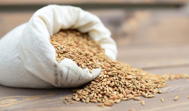 Єврокомісія оприлюднила своє рішення щодо експорту української агропродукції