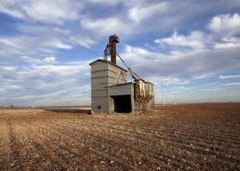 Уряд вніс до об’єктів критичної інфраструктури виробництво ветпрепаратів та експлуатацію елеваторів