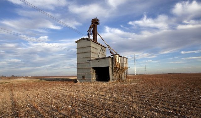 Уряд вніс до об’єктів критичної інфраструктури виробництво ветпрепаратів та експлуатацію елеваторів