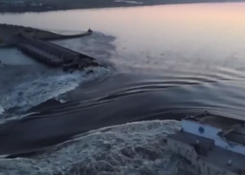 Знищення росіянами Каховської ГЕС завдало значних збитків сільському господарству України