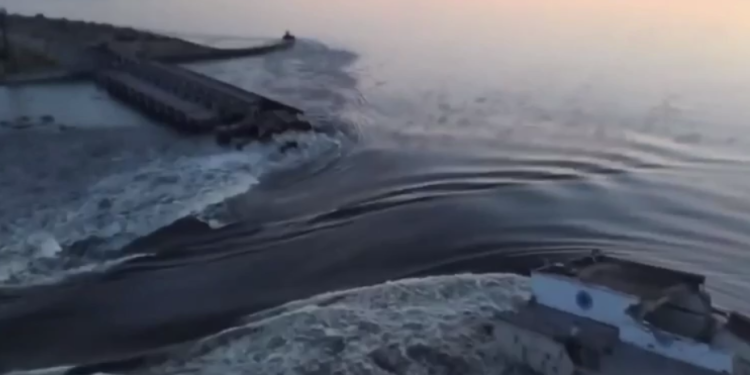 Знищення росіянами Каховської ГЕС завдало значних збитків сільському господарству України