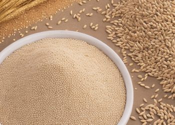 БЕЗКОШТОВНО ОТРИМАЛИ НАСІННЯ ТА ДОБРИВА: ЯК ЦЕ ВПЛИНЕ НА СІЛЬГОСПЧАСТКУ